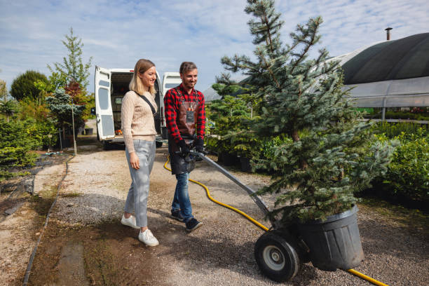 Best Root Management and Removal  in Richmond, CA